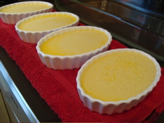 Creme Brulee