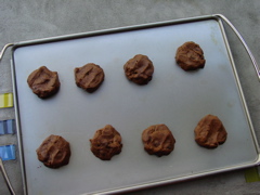 csi_cookie_sheet