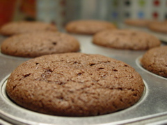 Chocolate Pudding Filled Cupcakes