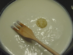 Fettuccine Alfredo