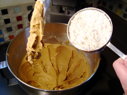 Gingerbread Cookie Recipe