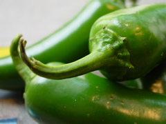 Average Betty's Hoffepeño Popper
