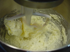 Sugar Cookies