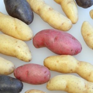Smashed Fingerling Potatoes Video