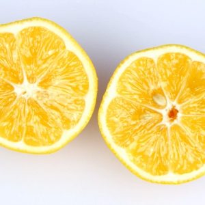 How to Make Meyer Lemon Bars Video