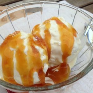 Super Easy Vanilla Ice Cream Recipe