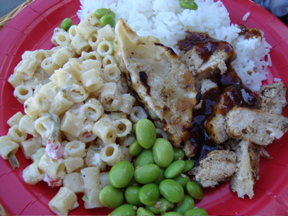Teriyaki Chicken Plate Lunch at Coachella