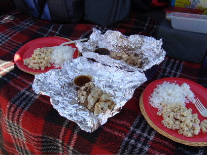 Teriyaki Chicken Plate Lunch at Coachella