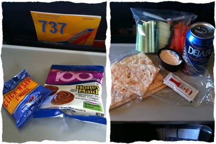 Snacks on a Plane!