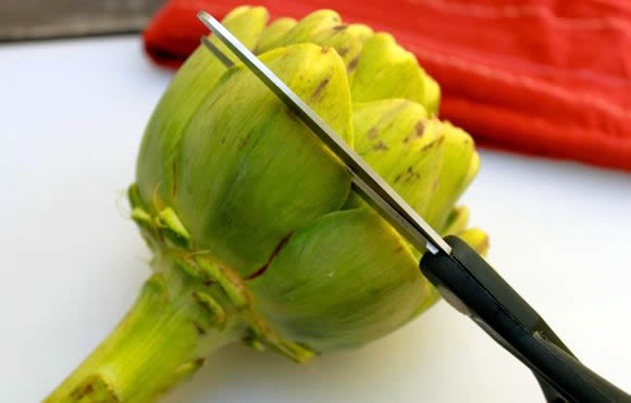 Artichoke Dipping Sauce Recipe