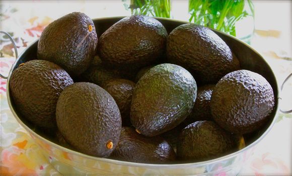Perfect Avocados for Guacamole Recipe