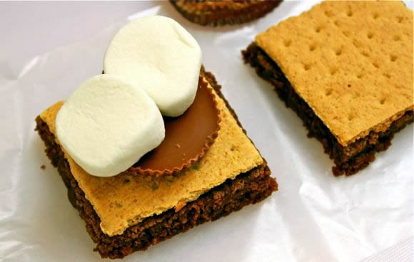 S'morkies Recipe Recipe