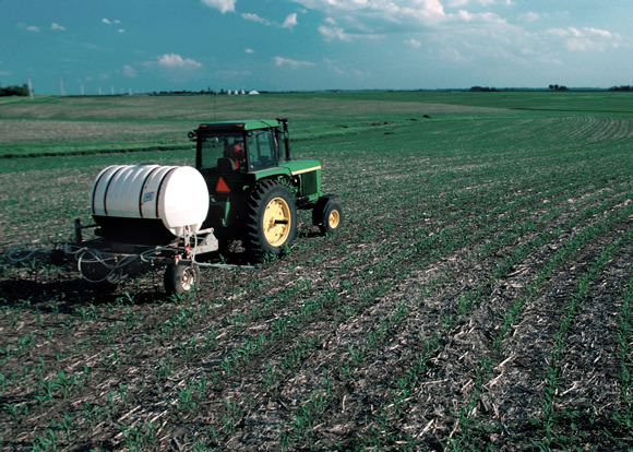 Fertilizer Applied to Corn Field